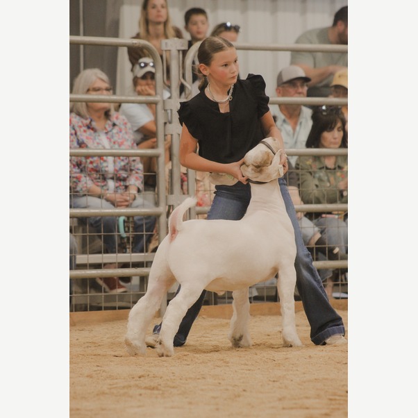 Brooklyn showing her goat